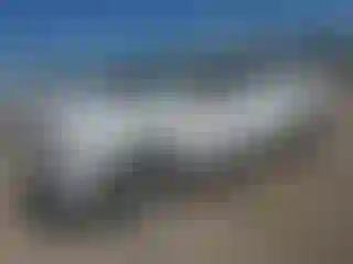 Vehicle Image- 2004 Chevrolet Trailblazer