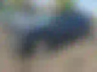 Vehicle Image- 2006 Chevrolet Trailblazer
