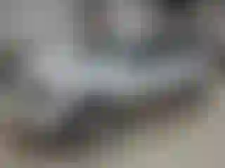 Vehicle Image- 2004 Chevrolet Trailblazer