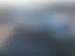 Vehicle Image- 2005 Chevrolet Trailblazer