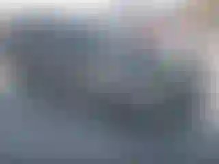 Vehicle Image- 2004 Chevrolet Trailblazer