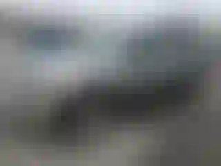 Vehicle Image- 2005 Chevrolet Trailblazer
