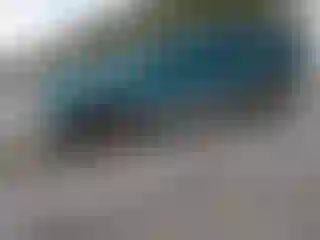 Vehicle Image- 1995 Chevrolet Blazer