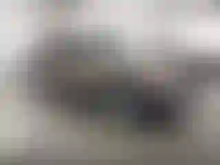 Vehicle Image- 1997 Chevrolet Blazer