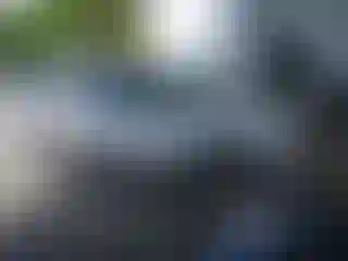 Vehicle Image- 2003 Chevrolet Blazer