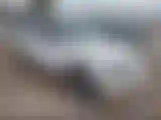 Vehicle Image- 2003 Chevrolet Blazer