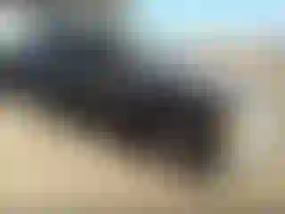 Vehicle Image- 1999 Chevrolet Tahoe