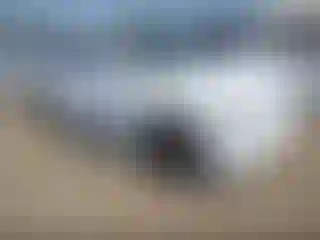 Vehicle Image- 2003 Chevrolet Tahoe