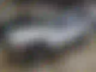 Vehicle Image- 2004 Chevrolet Tahoe