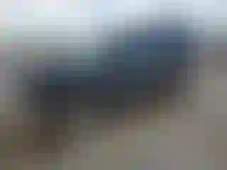 Vehicle Image- 2004 Chevrolet Tahoe