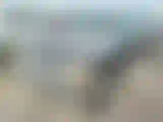 Vehicle Image- 2004 Chevrolet Tahoe