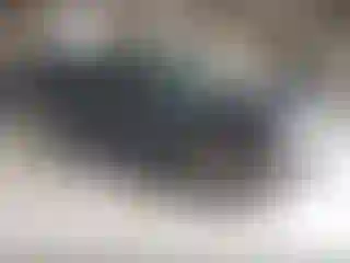 Vehicle Image- 2003 Chevrolet Suburban