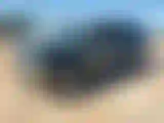 Vehicle Image- 2002 Chevrolet Suburban