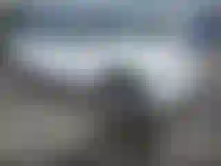 Vehicle Image- 2003 Chevrolet Tahoe