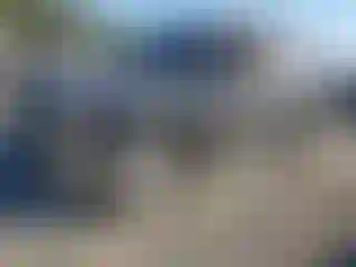 Vehicle Image- 2005 Chevrolet Tahoe