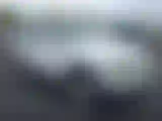 Vehicle Image- 2004 Chevrolet Tahoe