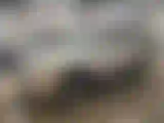 Vehicle Image- 2005 Chevrolet Tahoe