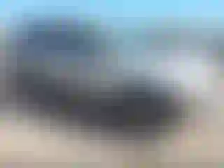 Vehicle Image- 2005 Chevrolet Tahoe