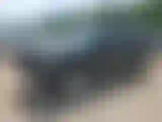 Vehicle Image- 2005 Chevrolet Tahoe