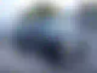 Vehicle Image- 2003 Chevrolet Tahoe