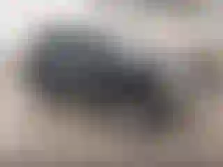 Vehicle Image- 2003 Chevrolet Tahoe