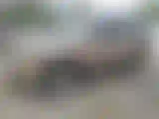 Vehicle Image- 2003 Chevrolet Tahoe
