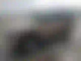 Vehicle Image- 2004 Chevrolet Tahoe