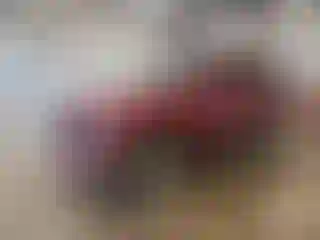 Vehicle Image- 2004 Chevrolet Tahoe