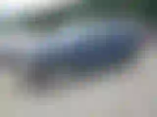Vehicle Image- 2002 Chevrolet Tahoe