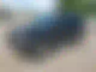 Vehicle Image- 2003 Chevrolet Tahoe