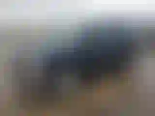 Vehicle Image- 2004 Chevrolet Tahoe