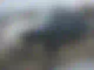 Vehicle Image- 2003 Chevrolet Tahoe