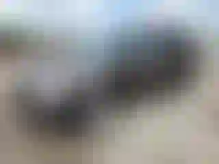 Vehicle Image- 2009 Chevrolet Traverse