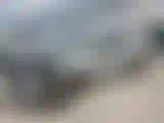 Vehicle Image- 2025 Chevrolet Traverse