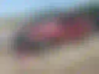Vehicle Image- 2006 Chevrolet Trailblazer