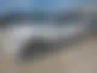 Vehicle Image- 2007 Chevrolet Trailblazer