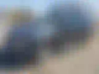 Vehicle Image- 2006 Chevrolet Trailblazer