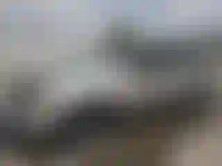 Vehicle Image- 2002 Chevrolet Trailblazer