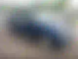 Vehicle Image- 2003 Chevrolet Trailblazer