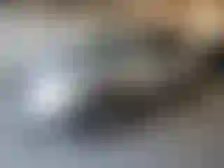 Vehicle Image- 2009 Chevrolet Traverse