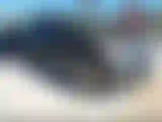 Vehicle Image- 2009 Chevrolet Traverse