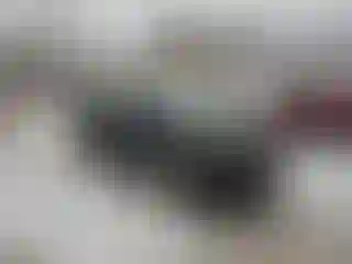 Vehicle Image- 2019 Chevrolet Traverse