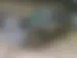 Vehicle Image- 2020 Chevrolet Traverse