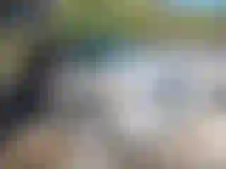 Vehicle Image- 2007 Chevrolet Tahoe