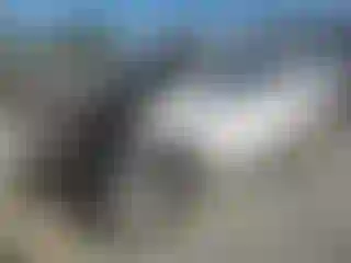 Vehicle Image- 2008 Chevrolet Tahoe