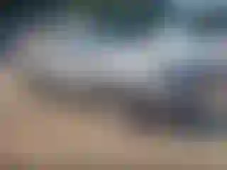 Vehicle Image- 2008 Chevrolet Tahoe