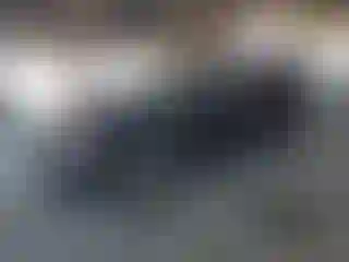 Vehicle Image- 2008 Chevrolet Tahoe