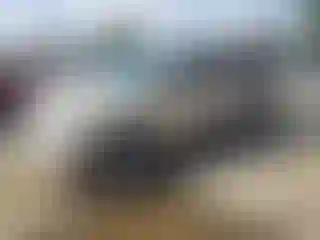 Vehicle Image- 2007 Chevrolet Tahoe