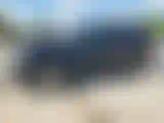 Vehicle Image- 2009 Chevrolet Tahoe