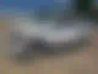 Vehicle Image- 2007 Chevrolet Tahoe